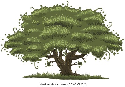 illustration of an old oak tree