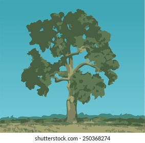 Illustration of old tall tree 