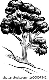 illustration of an old tree