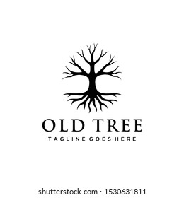 Illustration Old Tree with branches and roots sign vintage logo design vector 