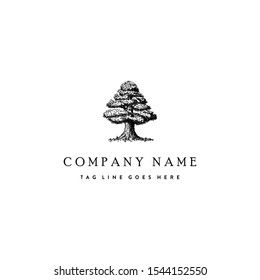 Illustration of old tree logo design inspirations in hand drawn, sketch for restaurant or other company.