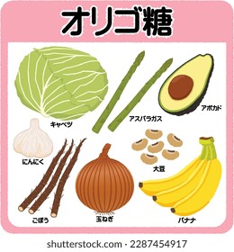 Illustration of oligosaccharides. Japanese text meanings are cabbage, asparagus, avocado, banana, garlic, burdock and onion.