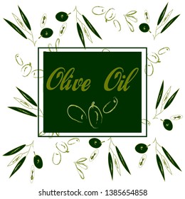 illustration of Olive arrangement with olive branches and fruits for the design of Italian cuisine or extra oil or cosmetic product packaging. Hand drawn illustration in vector.  vector graphics