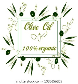 illustration of Olive arrangement with olive branches and fruits for the design of Italian cuisine or extra oil or cosmetic product packaging. Hand drawn illustration in vector.  vector graphics