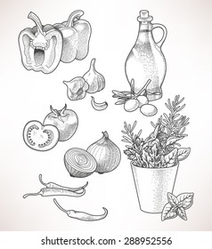 Illustration of olive oil, vegetables and herbs