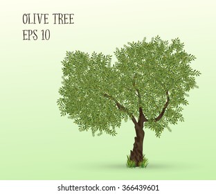 Illustration of olive tree