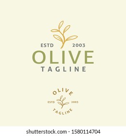 Illustration Olive Tree Logo Design