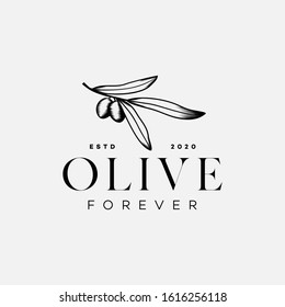 Illustration Olive Tree Logo Design With Vintage Style