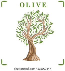 Illustration of olive tree. Vector
