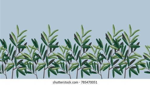 illustration - olive trees