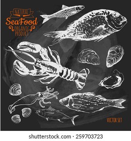 Illustration on a blackboard. Hand-drawn sketch. Fresh organic food. Seafood: fish, lobster, dorado, oysters, squid, clams. Sketch seafood on white background.