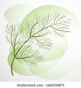 Ilustración en el fondo de la pantalla verde. Antecedentes alimentarios. Icono de eneldo orgánico. hierba verde fresca. Esbozo de especias de hierbas.