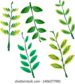 Illustration on a light background graphics Botanical set. Botanical vintage illustration. Grass, leaves, branches. Design elements for printing, vintage posters, Wallpaper, textiles, postal packaging