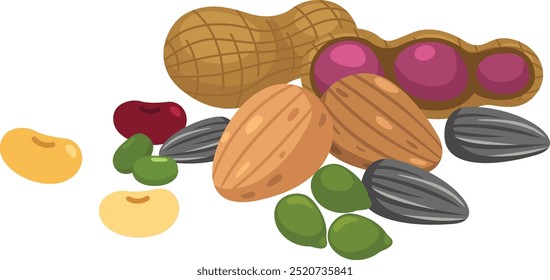 illustration of on nuts a white background