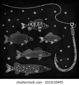 Illustration on a river fish theme. Set of pike, pikeperch, carp, crucian carp, perch, fishing line and fish hook. Sketch, chalk drawing on blackboard, vector illustration.