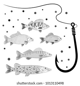 Illustration on a river fish theme. Set of pike, pikeperch, carp, crucian carp, perch, fishing line and fish hook. Sketch,vector illustration.