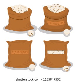 Illustration on theme big colored set different types mushroom, different size champignon. Mushroom champignon consisting of porous hat, long leg. Champignon mushroom is tasty accessory in kitchen.