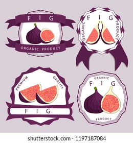 Illustration on theme big colored set bright ripe fruit purple dry fig. Fruit pattern consisting of natural tropical purple dry fig various forms. Eat sweet fresh exotic fruit purple dry fig on health