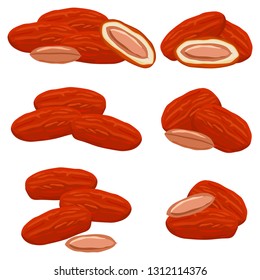 Illustration on theme big colored set different types of date fruit for healthy life. Date fruit pattern consisting of collection accessory at healthy lifestyle. Fruit dates is symbol healthy meal.