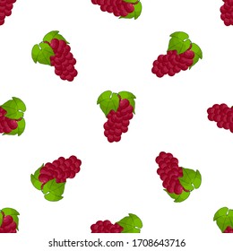 Ilustración sobre el tema de la uva sin costura de color grande, patrón de baya brillante para foca. Patrón de cerezo que consiste en una hermosa uva reproducida sin costura. Cereza simple y colorida a partir de uva suave sin fisuras.