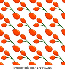 Illustration on theme big colored seamless rose hip, bright berry pattern for seal. Berry pattern consisting of beautiful seamless repeat rose hip. Simple colorful pattern berry from seamless rose hip