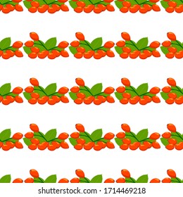 Illustration on theme big colored seamless rose hip, bright berry pattern for seal. Berry pattern consisting of beautiful seamless repeat rose hip. Simple colorful pattern berry from seamless rose hip