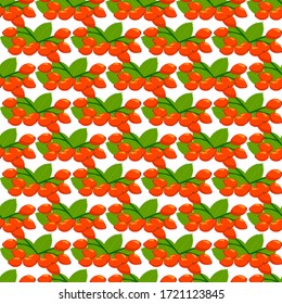 Illustration on theme big colored seamless rose hip, bright berry pattern for seal. Berry pattern consisting of beautiful seamless repeat rose hip. Simple colorful pattern berry from seamless rose hip