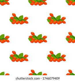 Illustration on theme big colored seamless rose hip, bright berry pattern for seal. Berry pattern consisting of beautiful seamless repeat rose hip. Simple colorful pattern berry from seamless rose hip