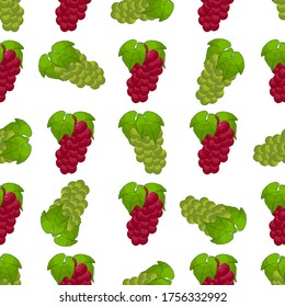 Illustration on theme big colored seamless grape, bright berry pattern for seal. Berry pattern consisting of beautiful seamless repeat grape. Simple colorful pattern berry from seamless soft grape.