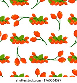 Illustration on theme big colored seamless rose hip, bright berry pattern for seal. Berry pattern consisting of beautiful seamless repeat rose hip. Simple colorful pattern berry from seamless rose hip