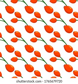 Ilustración sobre el tema de cadera rosa sin costuras de color grande, patrón de berry brillante para sello. Patrón de Berry consistente en una hermosa cadera de rosa sin costura. Berry de patrón simple y colorido a partir de cadera rosa sin costura