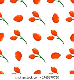 Illustration on theme big colored seamless rose hip, bright berry pattern for seal. Berry pattern consisting of beautiful seamless repeat rose hip. Simple colorful pattern berry from seamless rose hip