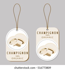 Illustration on theme big colored set different types mushroom, different size champignon. Mushroom champignon consisting of porous hat, long leg. Champignon mushroom is tasty accessory in kitchen.