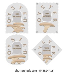 Illustration on theme big colored set different types mushroom, different size oyster. Mushroom oyster consisting of porous hat, long leg. Oyster mushroom is tasty accessory in kitchen from salad.
