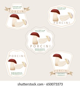 Illustration on theme big colored set different types mushroom, different size porcini. Mushroom porcini consisting of porous hat, long leg. Porcini mushroom is tasty accessory in kitchen from salad.