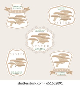 Illustration on theme big colored set different types mushroom, different size oyster. Mushroom oyster consisting of porous hat, long leg. Oyster mushroom is tasty accessory in kitchen from salad.