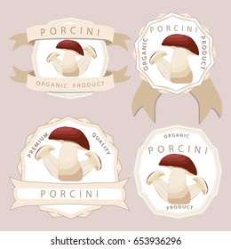 Illustration on theme big colored set different types mushroom, different size porcini. Mushroom porcini consisting of porous hat, long leg. Porcini mushroom is tasty accessory in kitchen from salad.