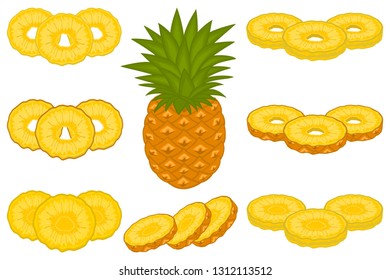 Illustration on theme big set different types pineapple, green stem, ananas various size. Pineapple pattern consisting of collection meal ananas for organic beverage. Menu pineapple is yummy ananas.