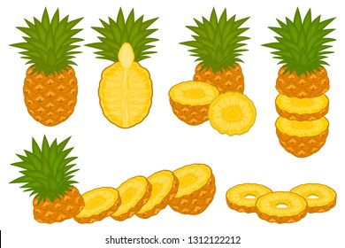 Illustration on theme big set different types pineapple, green stem, ananas various size. Pineapple pattern consisting of collection meal ananas for organic beverage. Menu pineapple is yummy ananas.