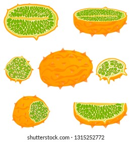 Illustration on theme big set different types african kiwano, green stem, melon various size. Kiwano pattern consisting of collection meal melon for organic beverage. Menu berry kiwano is yummy melon.
