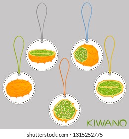 Illustration on theme big set different types african kiwano, green stem, melon various size. Kiwano pattern consisting of collection meal melon for organic beverage. Menu berry kiwano is yummy melon.