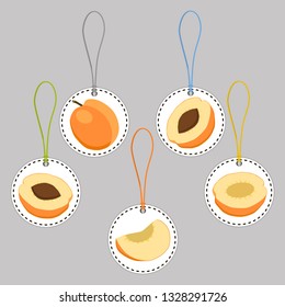 Illustration on theme big set different types round apricot, plant various size. Apricot pattern consisting of collection meal for organic health beverage. Menu out soft apricot to exquisite gourmet.