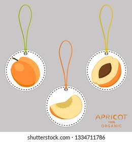Illustration on theme big set different types round apricot, plant various size. Apricot pattern consisting of collection meal for organic health beverage. Menu out soft apricot to exquisite gourmet.