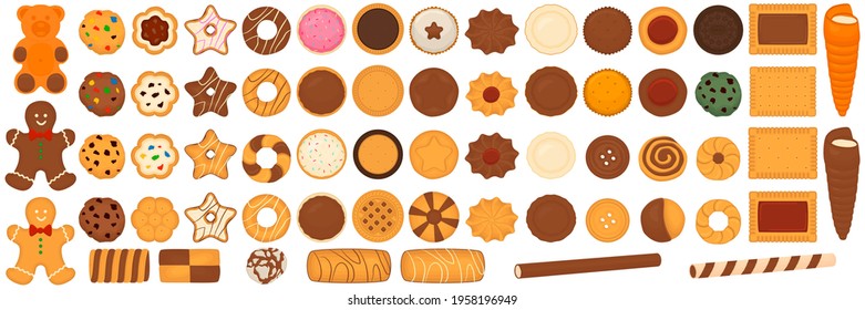 Illustration on theme big set different biscuit, kit colorful pastry cookie. Cookie consisting of collectible natural tasty food biscuit, pastry accessory. Eat fresh pastry biscuit from sweet cookie.