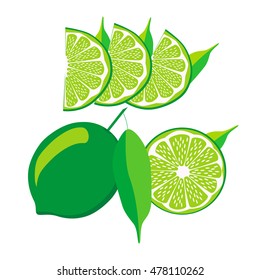 Illustration on theme big set different types green lime, citrus for lemonade. Citrus lime pattern consisting of menu raw tasty product green lemonade. Drink green citrus lemonade from lime to health.
