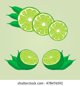 Illustration on theme big set different types green lime, citrus for lemonade. Citrus lime pattern consisting of menu raw tasty product green lemonade. Drink green citrus lemonade from lime to health.