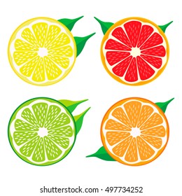 Illustration on theme big set different types citrus, grapefruit and other isolated on white background. Citrus pattern consisting of menu raw tasty product grapefruit. Eat citrus grapefruit to health