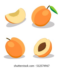 Illustration on theme big set different types round apricot, plant various size, apricot pattern consisting of collection meal for organic health beverage, menu out soft apricot to exquisite gourmet