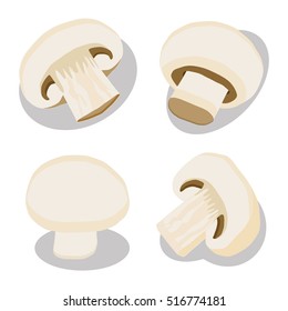 Illustration on theme big set different types mushroom, different size champignon, mushroom champignon consisting of porous hat, long leg, champignon mushroom is tasty accessory in kitchen