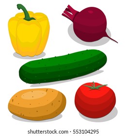 Illustration on theme big set different types vegetables, beet and other isolated on white background. Vegetable pattern consisting of raw round beet. Eat fresh vegetable beet to health.